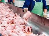 raw poultry