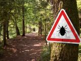 tick sign