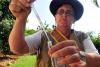 Mosquito control